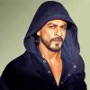 The Actor Shahrukh Khan Paint By Numbers