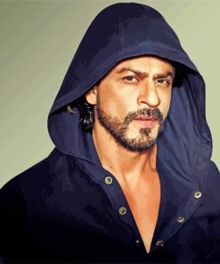 The Actor Shahrukh Khan Paint By Numbers