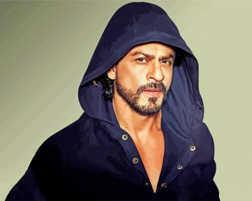 The Actor Shahrukh Khan Paint By Numbers