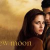 Twilight New Moon Poster Paint By Numbers