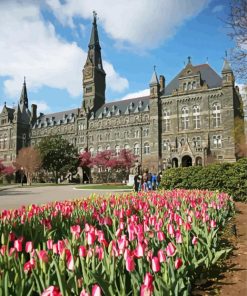 Aesthetic Georgetown University Building Paint By Numbers