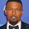 Aesthetic Jamie Fox Paint By Numbers