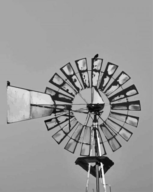 Black And White Windpump Paint By Numbers