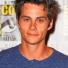 Dylan Obrien Paint By Numbers