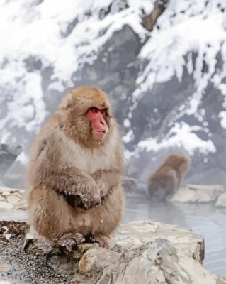 Lonely Snow Monkey Paint By Numbers