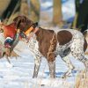 Pheasant Hunting Dog In Snow Paint By Numbers