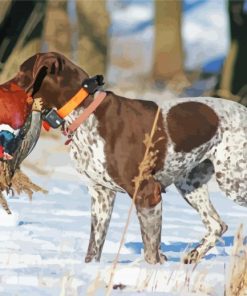 Pheasant Hunting Dog In Snow Paint By Numbers