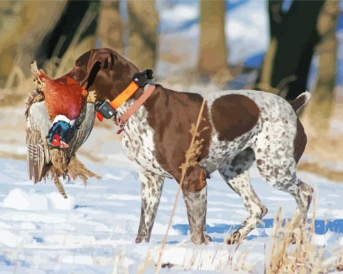 Pheasant Hunting Dog In Snow Paint By Numbers