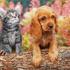 Tabby Kitten And Golden Spaniel Puppy Paint By Numbers