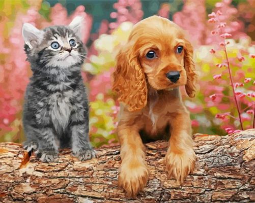 Tabby Kitten And Golden Spaniel Puppy Paint By Numbers