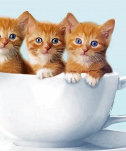 Three Kittens In Cup Paint By Numbers