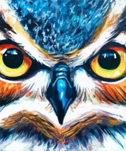 Angry Owl Eyes Paint By Numbers