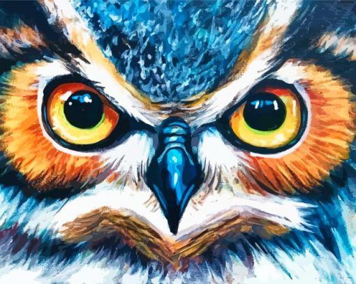 Angry Owl Eyes Paint By Numbers