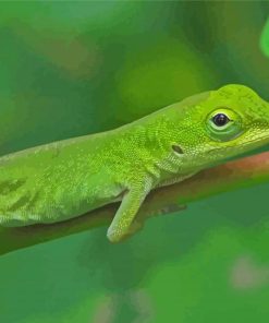 Anole Lizard On Stick Paint By Numbers