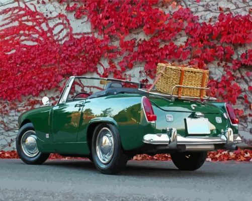 Austin Healey Sprite Paint By Numbers