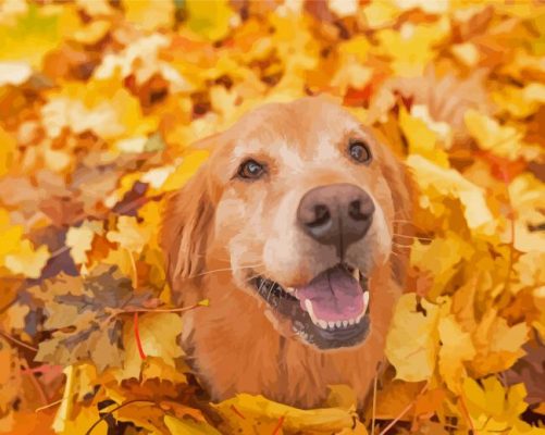 Autumn Golden Retriever Paint By Numbers