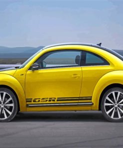 Beetle GSR Car Paint By Numbers