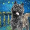 Black Cairn Terrier Dog Art Paint By Numbers