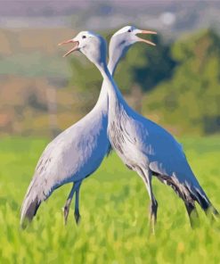 Blue Crane Birds Paint By Numbers