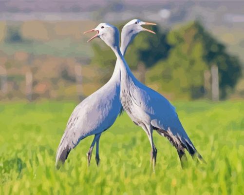 Blue Crane Birds Paint By Numbers