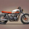 Brown And White Triumph Bonneville Paint By Numbers