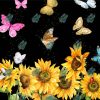 Butterflies On Sunflowers Paint By Numbers