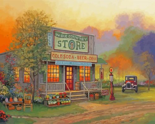 Country Store In Woods Paint By Numbers