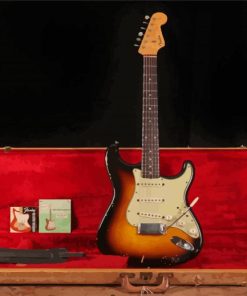 Fender Stratocaster Paint By Numbers