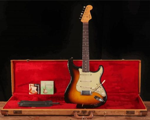 Fender Stratocaster Paint By Numbers