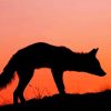 Fox At Sunset Silhouette Paint By Numbers