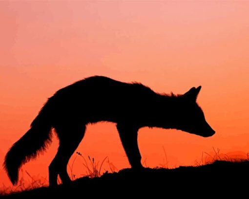 Fox At Sunset Silhouette Paint By Numbers