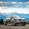 Grey Nissan Juke Car Paint By Numbers