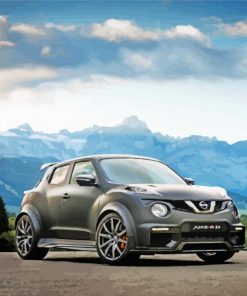 Grey Nissan Juke Car Paint By Numbers