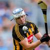 Hurling Sport Team Player Paint By Numbers