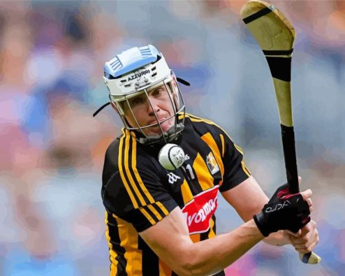 Hurling Sport Team Player Paint By Numbers