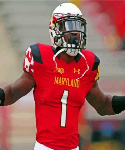 Maryland Terrapins Football Paint By Numbers