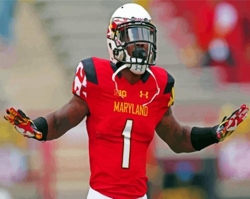 Maryland Terrapins Football Paint By Numbers