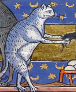 Medieval Ugly Cat Paint By Numbers