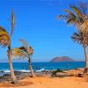 Palm Trees In Fuerteventura Paint By Numbers