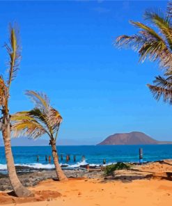 Palm Trees In Fuerteventura Paint By Numbers