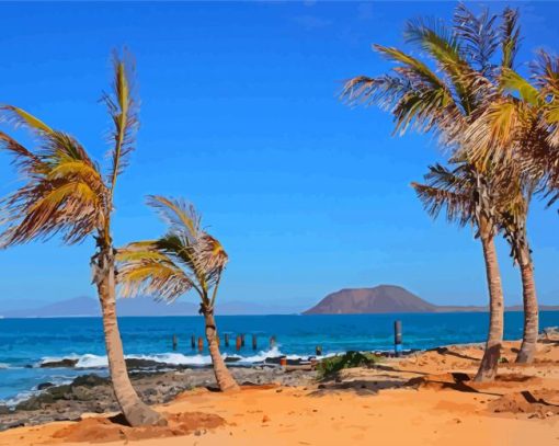 Palm Trees In Fuerteventura Paint By Numbers