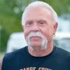 Paul Teutul Sr Paint By Numbers