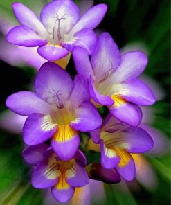 Purple Freesia Flowers Paint By Numbers