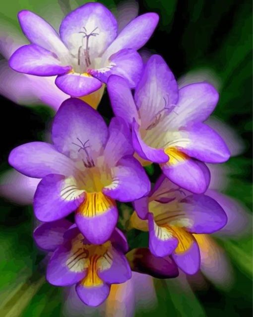 Purple Freesia Flowers Paint By Numbers