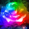 Rainbow Glowing Rose Paint By Numbers