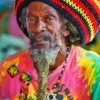 Rasta Man Paint By Numbers