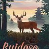 Ruidoso Paint By Numbers