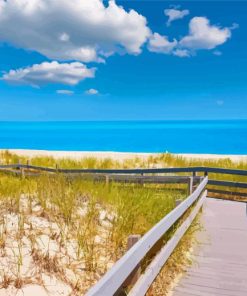 Sandy Neck Beach Cape Cod Paint By Numbers