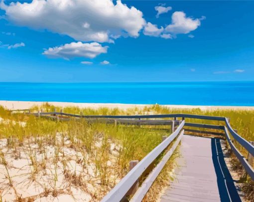 Sandy Neck Beach Cape Cod Paint By Numbers