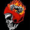 Skull And Motorcycle Paint By Numbers